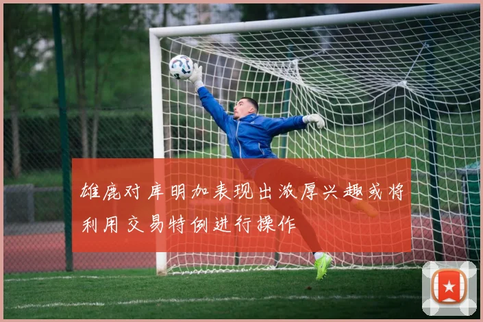 雄鹿对库明加表现出浓厚兴趣或将利用交易特例进行操作