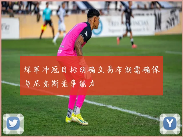 绿军冲冠目标明确交易布朗需确保与尼克斯竞争能力