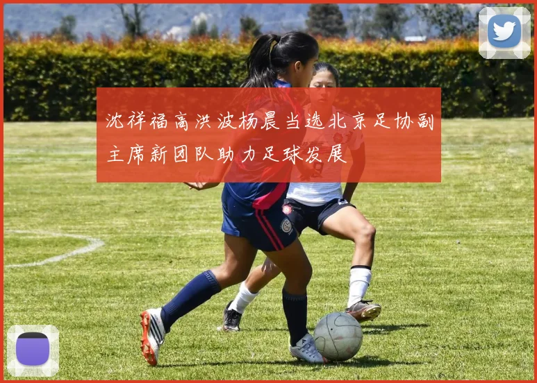 沈祥福高洪波杨晨当选北京足协副主席新团队助力足球发展
